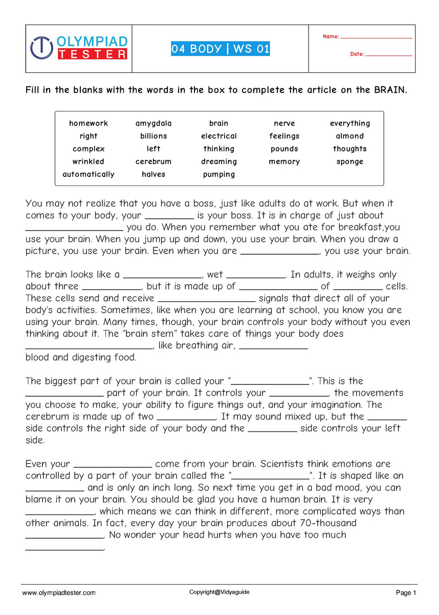 vital parts of our body class 4 worksheet