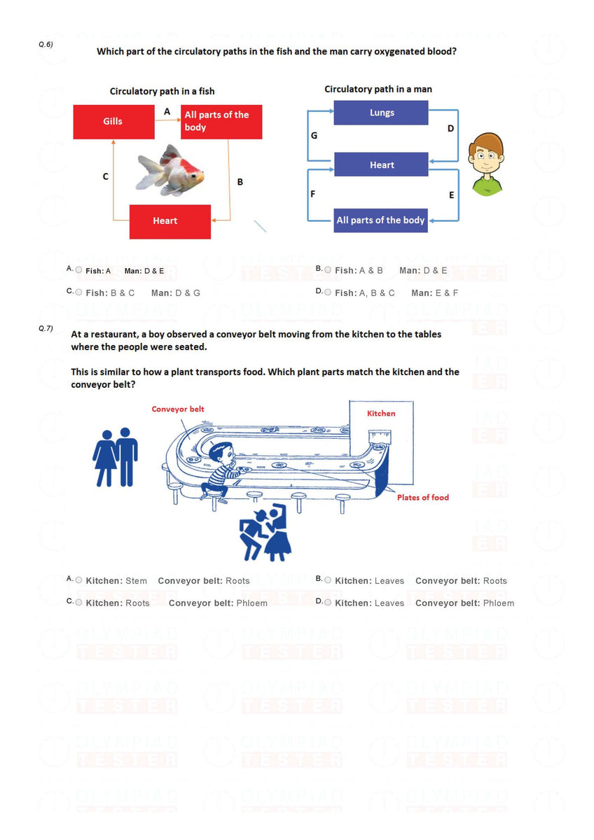 Science Olympiad Class 5 - Sample Question Paper 03 | Olympiad Tester