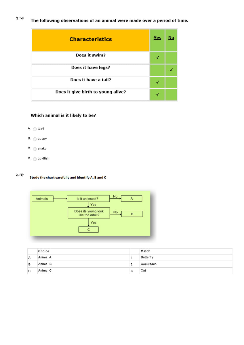 Science Olympiad Class 5 Sample question Paper 13 Olympiad tester