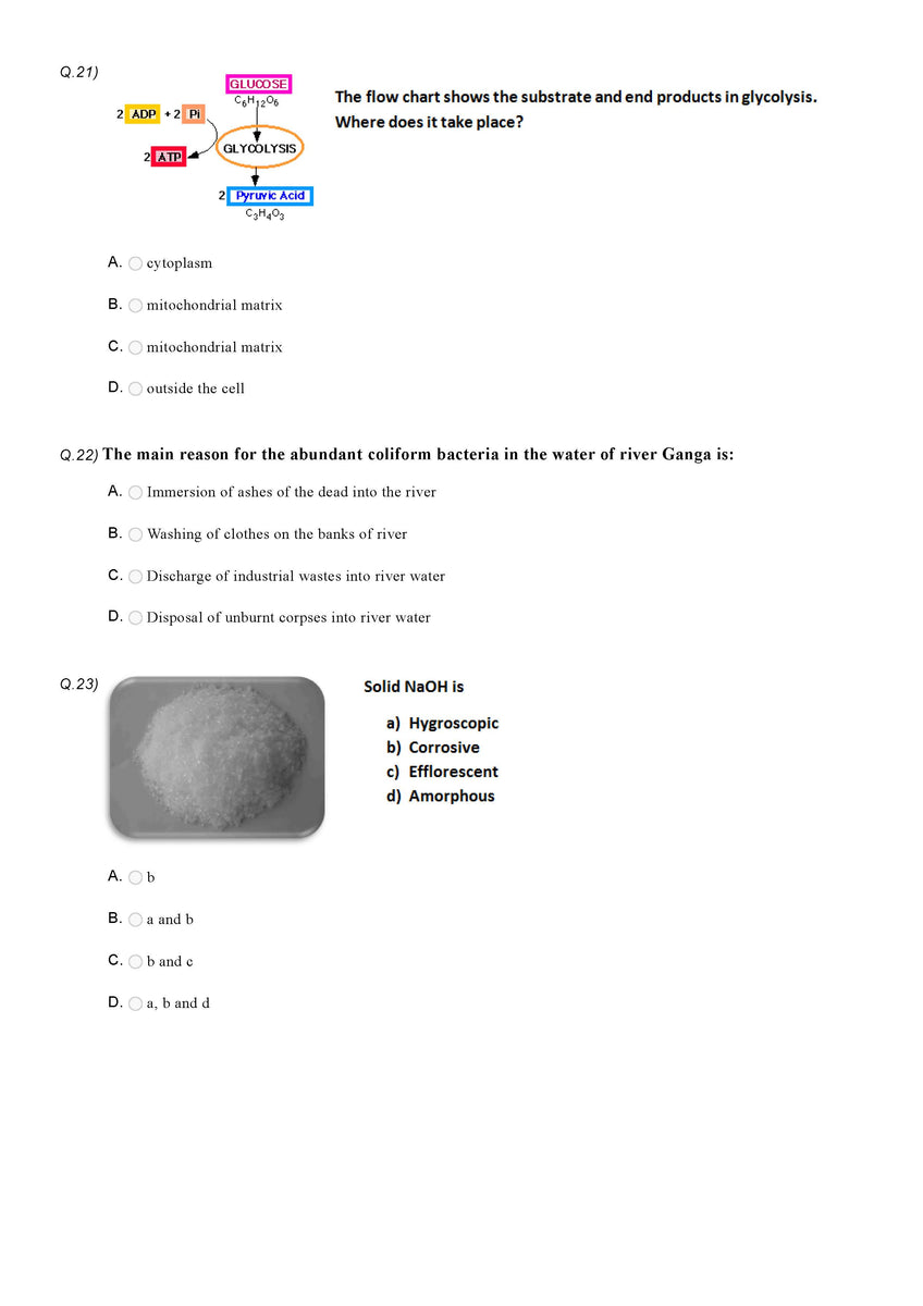 Science Olympiad Class 4 - Sample Question Paper 12 | Olympiad Tester