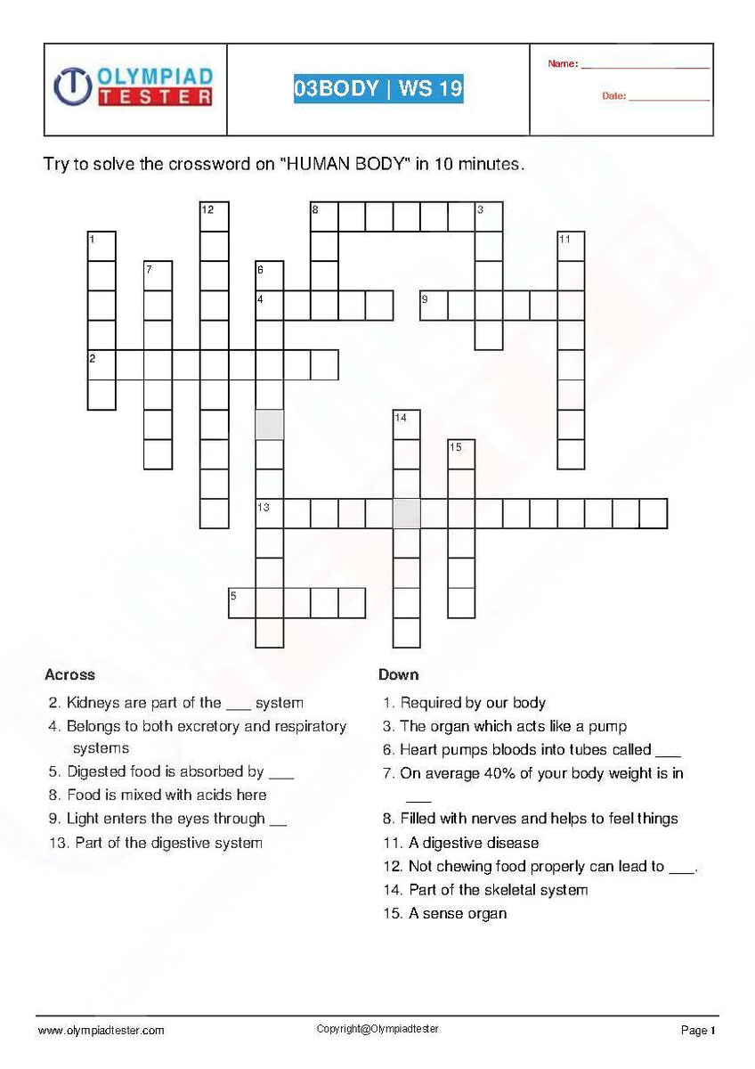 our body parts class 3 question answer