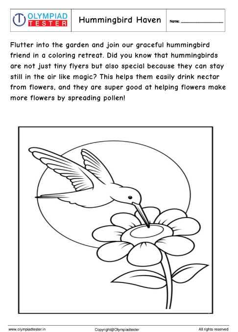Hummingbird Haven - Garden Coloring Page | Olympiad tester