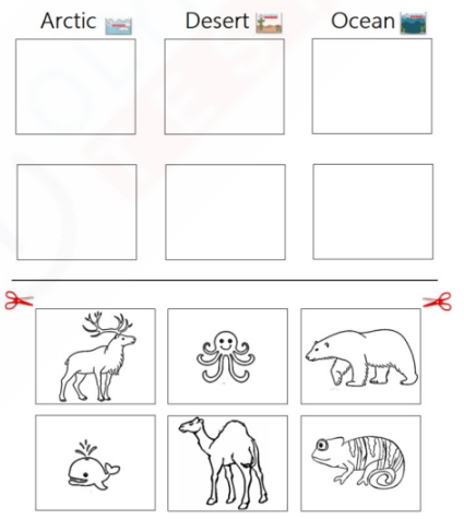 Kindergarten Animal Habitat Worksheet - Cut and Paste Activity