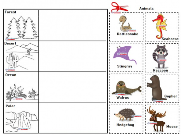 Animal Habitat Sorting Activity for Kindergarteners | Olympiad tester