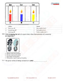 Class 2 Science Olympiad questions