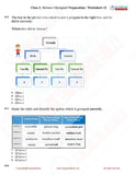 Class 2 Science Olympiad questions