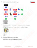 Class 2 Science Olympiad questions