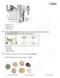Class 2 Science Olympiad questions
