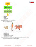 Class 2 Science Olympiad questions