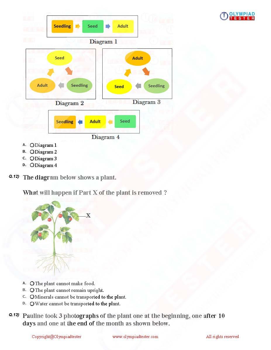 Class 2 Science worksheets PDF