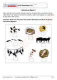 450+ Printable Kindergarten Worksheets PDF - Instant Download - Olympiad tester