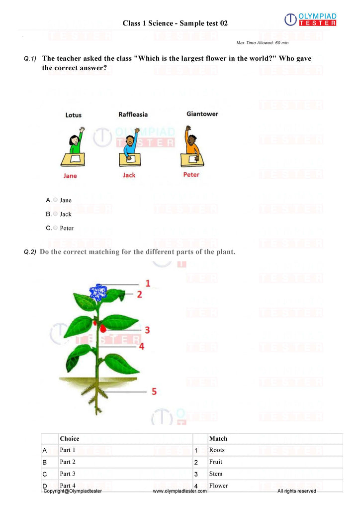 Class 1 Science HOTS - Plants - PDF Worksheet 01