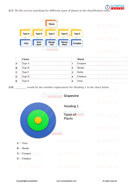 Class 2 NSO Science Olympiad Sample paper - PDF Worksheet 02