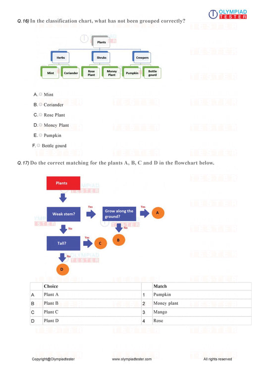 Class 1 Science - PDF Worksheet 03 - Olympiad tester
