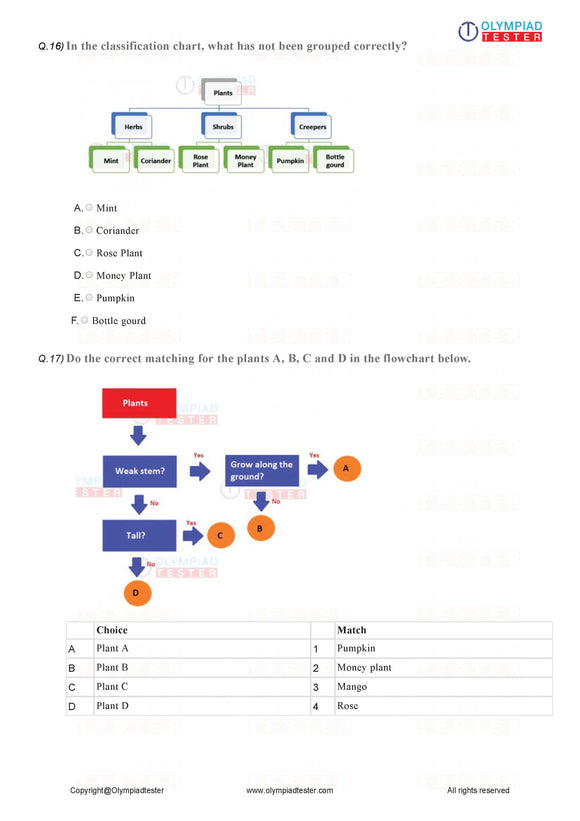 Class 1 Science - PDF Worksheet 03 - Olympiad tester