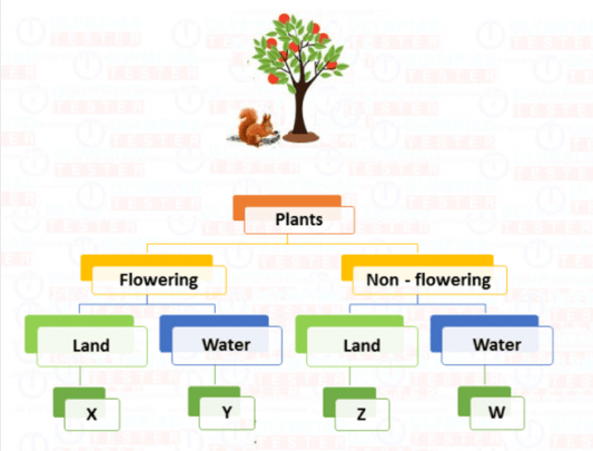 Science Olympiad Class 2 online test
