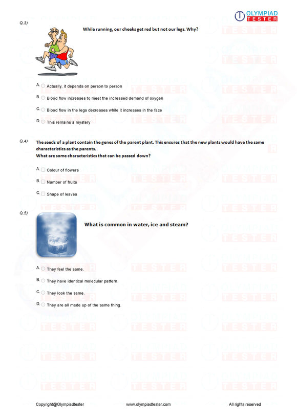 Science Olympiad Class 4 - Sample question paper 11
