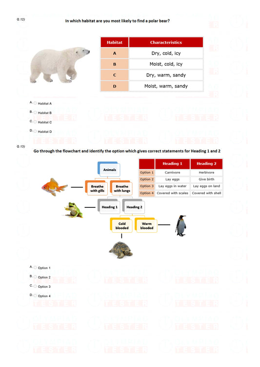 Class 4 NSO Science Olympiad sample paper - Worksheet 5