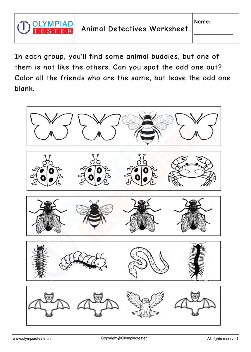 Odd one out worksheet for kindergarten | Olympiad tester