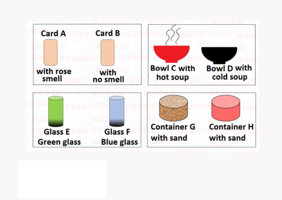 Class 6 Science Sorting and separation of materials - Worksheet #10