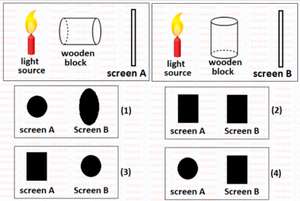 Download CBSE Class 6 Science Light - Worksheet #1
