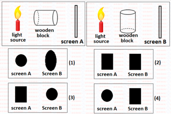 Download CBSE Class 6 Science Light - Worksheet #1 - Olympiad tester