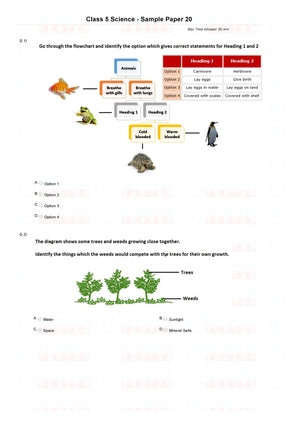 CLASS 5 NSO SCIENCE OLYMPIAD SAMPLE PAPER - WORKSHEET 2