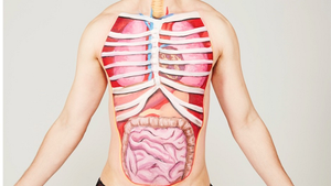 Download CBSE Class 3 Science Human body - Worksheet #4