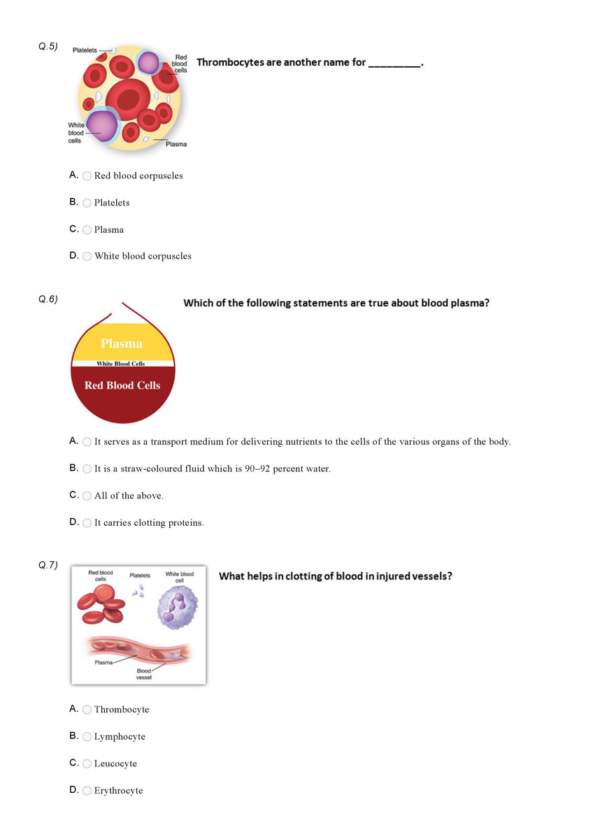 Science Olympiad Class 10 Sample question paper 15 Olympiad tester