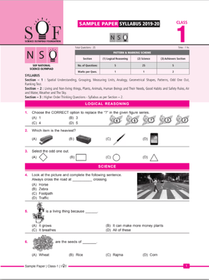 Class 1 NSO Free sample paper