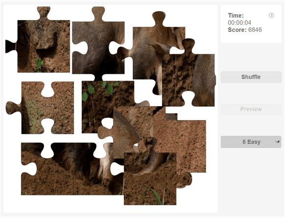 Animals jigsaw puzzle - Mammals - Aardvark