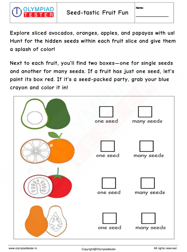 Kindergarten Science Worksheet - Fruits and seeds