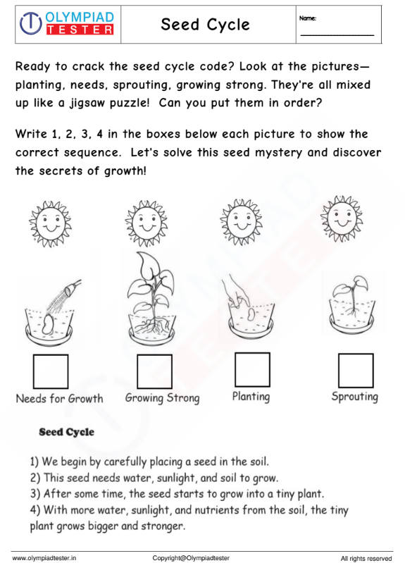Kindergarten Science Worksheet - Seed Cycle