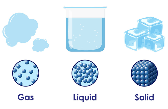 CBSE Class 4 Science - Matter and materials - Worksheet #2 - Olympiad tester