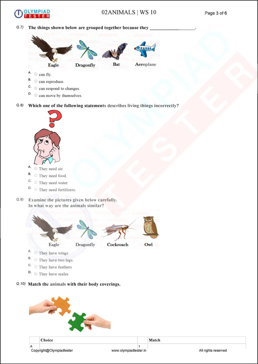Class 2 Science HOTS - Animals - Worksheet 10 | Olympiad tester