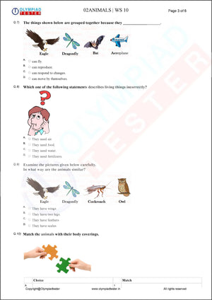 Class 2 Science HOTS - Animals - Worksheet 10