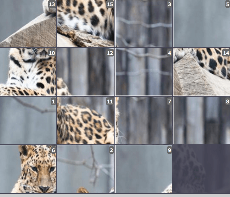 Online sliding puzzles for kids - Amur Leopard