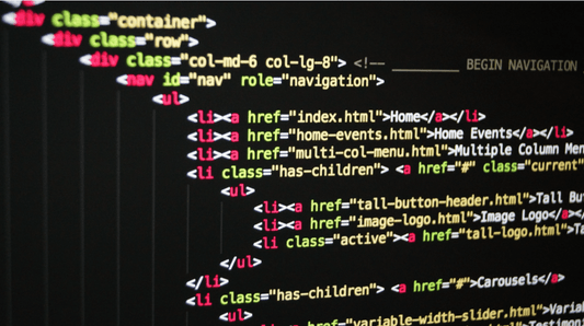 Class 8 NCO Online Prep sample test - HTML - Olympiad tester
