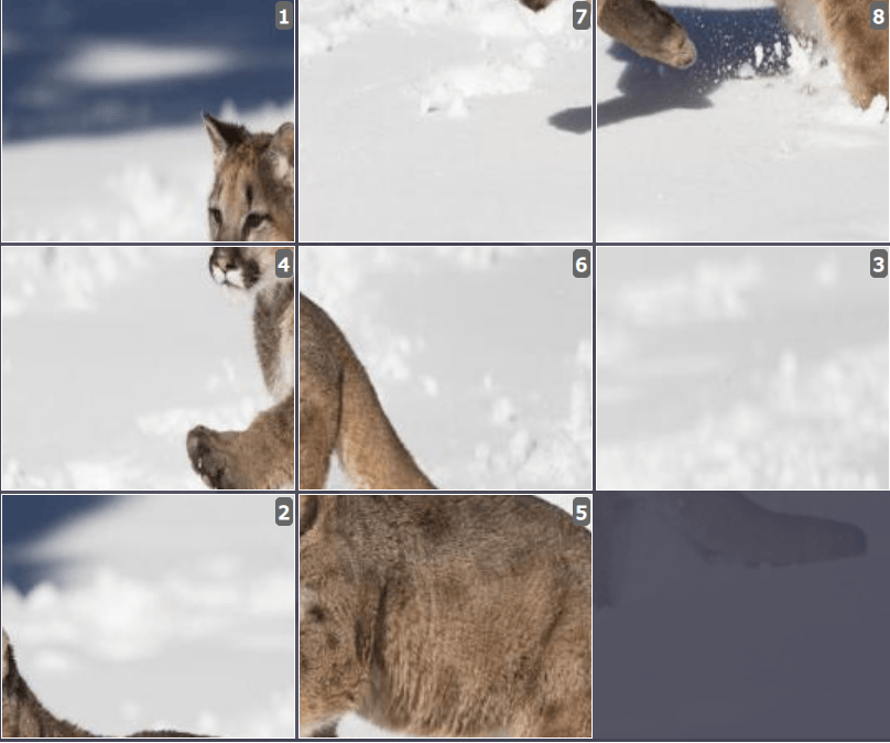 Online sliding puzzle for kids - Mountain Lion