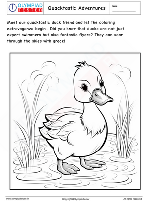 Quacktastic Adventures - Duck Coloring Page