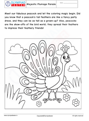 Majestic Plumage Parade - Peacock Coloring Page