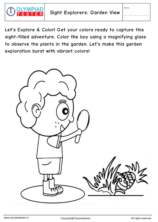 Kindergarten Coloring Worksheet : sense of sight