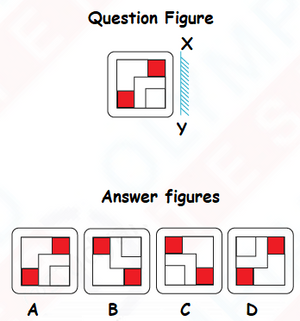 Class 3 IMO Model Test Paper