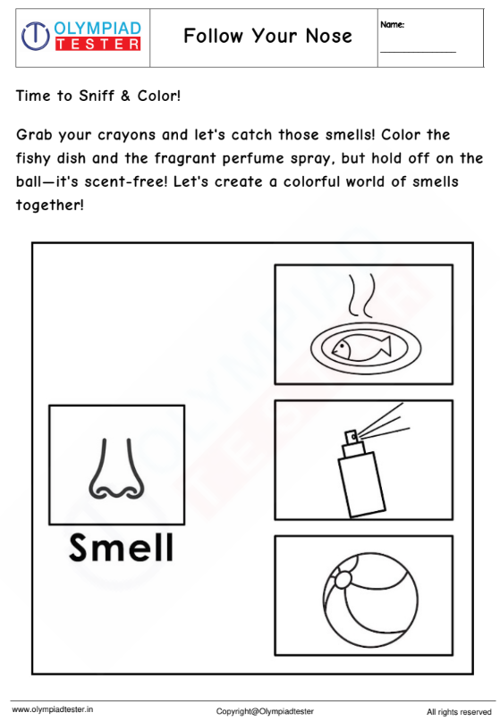 Kindergarten Worksheet: Follow Your Nose ! | Olympiad tester