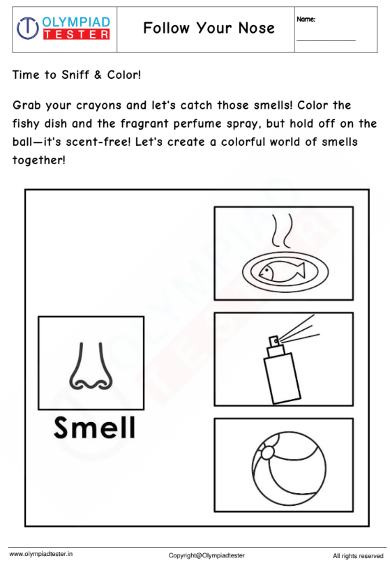 Kindergarten Worksheet: Follow Your Nose !