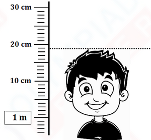 Class 3 IMO Previous Years Questions  - Set 7