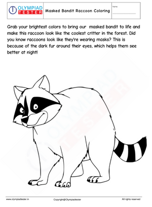 Masked Bandit Raccoon Coloring Page