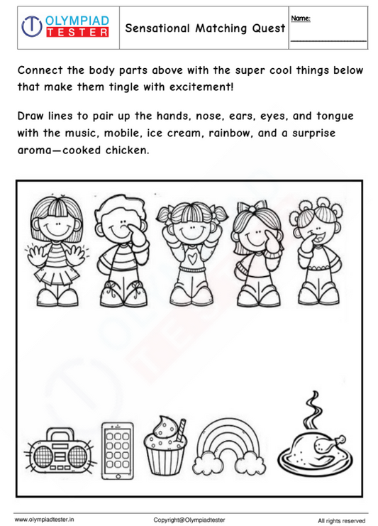 Kindergarten Worksheet: Sensational Matching Quest