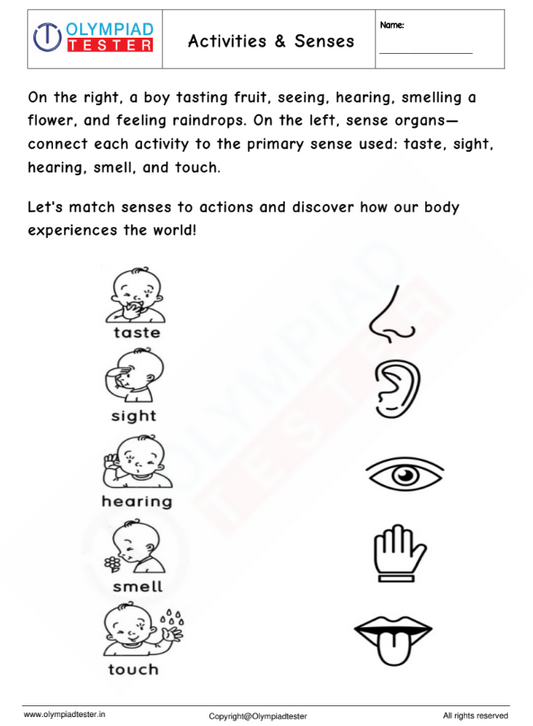 Kindergarten Worksheet: Activities & Senses