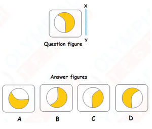 Class 3 IMO Previous Years Questions - Set 3